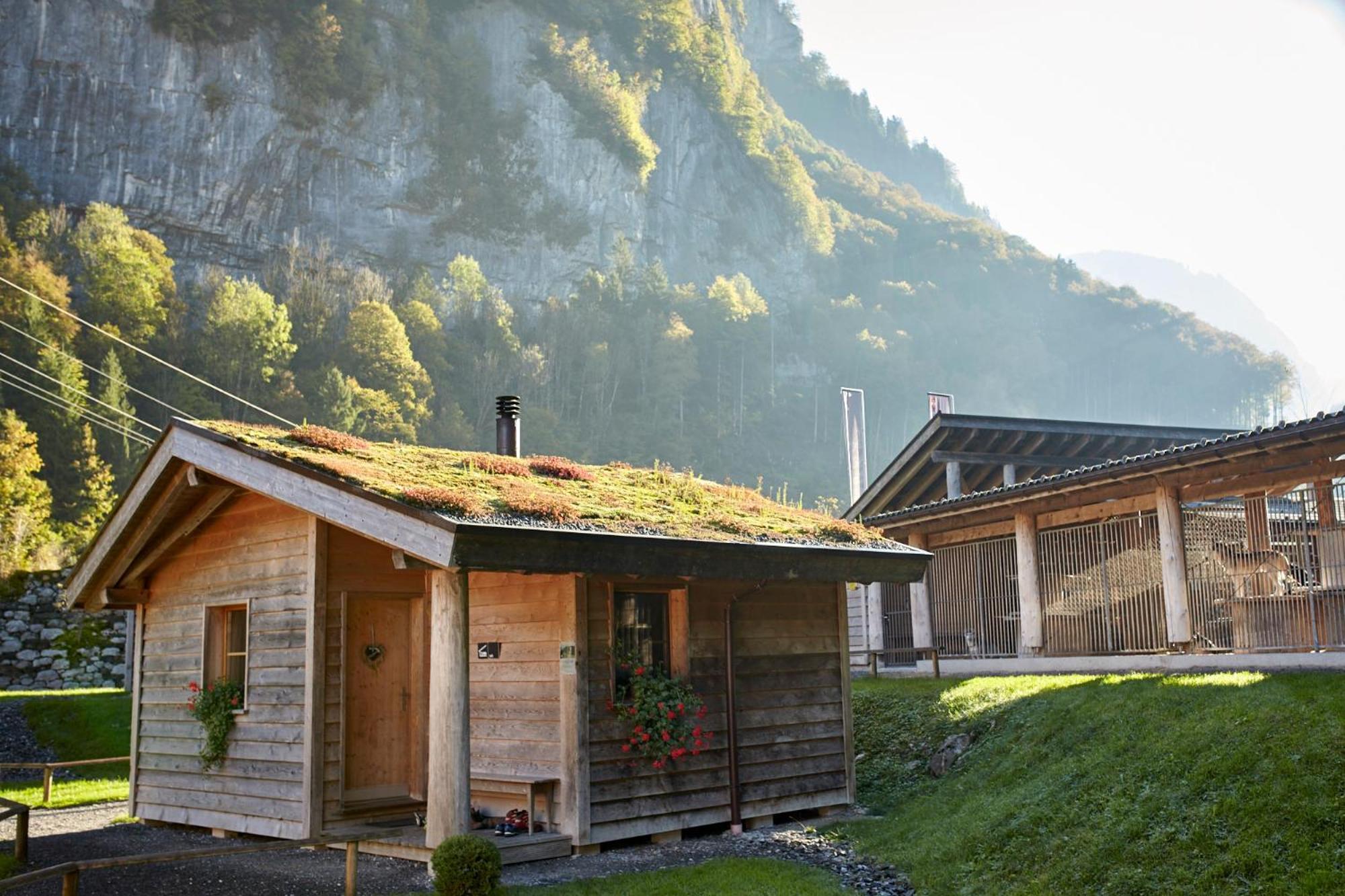 Huettenhotel Husky Lodge Muotathal Bagian luar foto