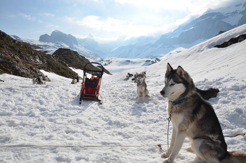 Huettenhotel Husky Lodge Muotathal Bagian luar foto